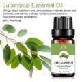 Pasokan pabrik 100% minyak esensial Eucalyptus globulus Murni